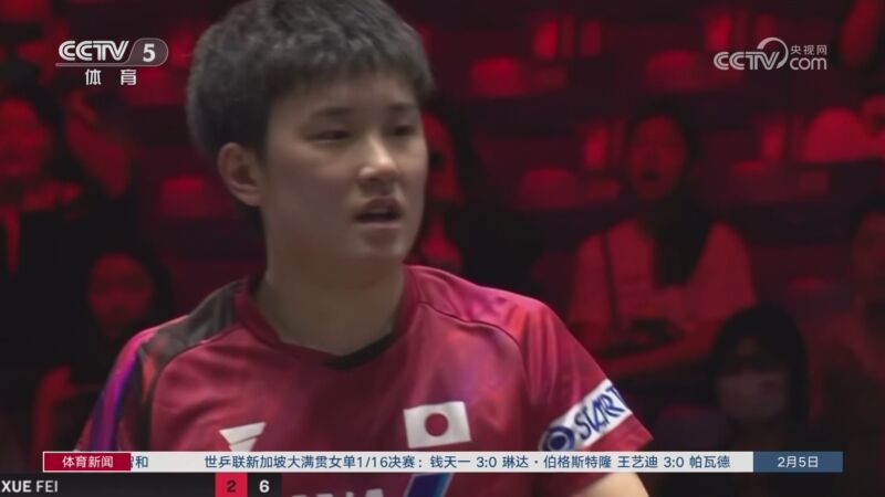 职业生涯增